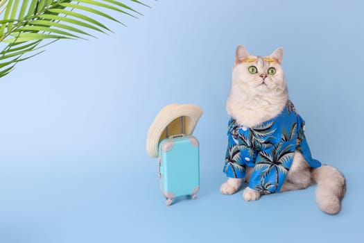 Funny stylish white cat in a blue summer shirt and yellow glasses on his head, sitting next to a small blue suitcase on a blue background, under palm leaves, looking up. Copy space