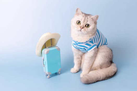 Adorable white cat in a blue striped T-shirt, sitting next to a small blue suitcase in a straw hat, on a light blue background, looking at camera. Copy space