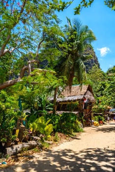 Houses and different palms in the village on Railay beach west, Ao Nang, Krabi, Thailand.