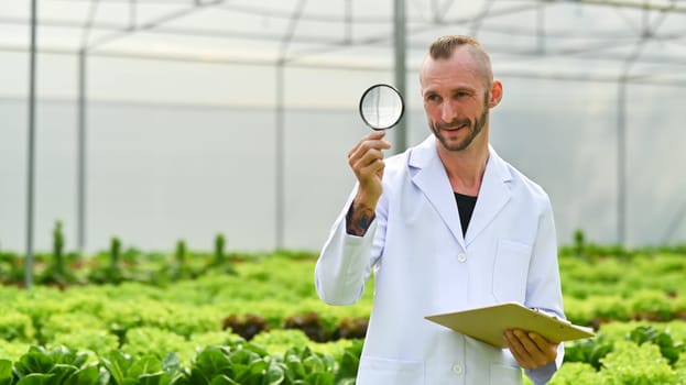 Caucasian male scientists holding magnifying glass and clipboard standing among vegetable in industrial greenhouse.