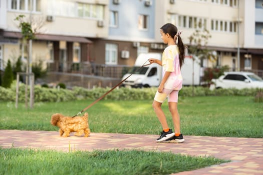 a little girl playing with her maltipoo dog a maltese-poodle breed.