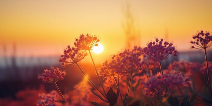 season spring vibrant grass beam meadow countryside flower plant rural rays sunset landscape background field bright nature blooming summer leaf sun. Generative AI.