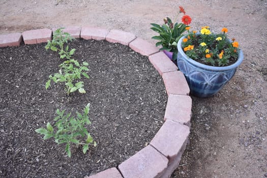 Small Outdoor Garden Space in Arizona Backyard . High quality photo