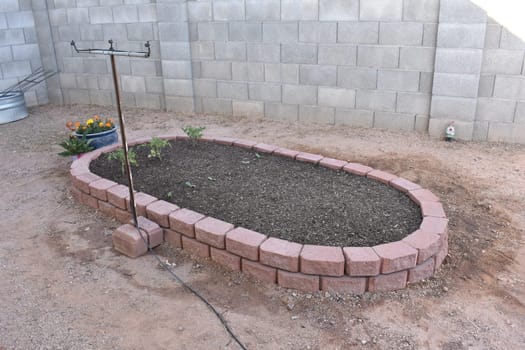 Small Raised Bed Garden in Arizona Backyard . High quality photo