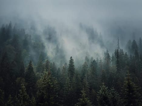 Sunlit foggy fir forest background. Peaceful and moody scene with haze clouds moving above the coniferous trees. Natural landscape with pine woods on the mountain hills covered with mist