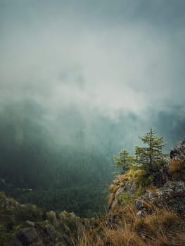 Scenery view to the misty valley from the top of the mountain. Haze clouds above the fir forest in carpathians ridge