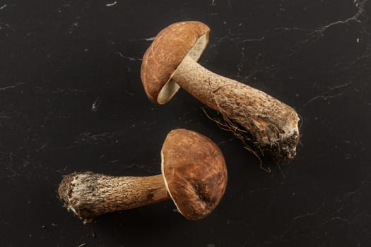 Tabletop view - two freshly picked mushrooms (scaber stalk / Leccinum scabrum) soil and dirt from forest still on them, on dark gray,  board.