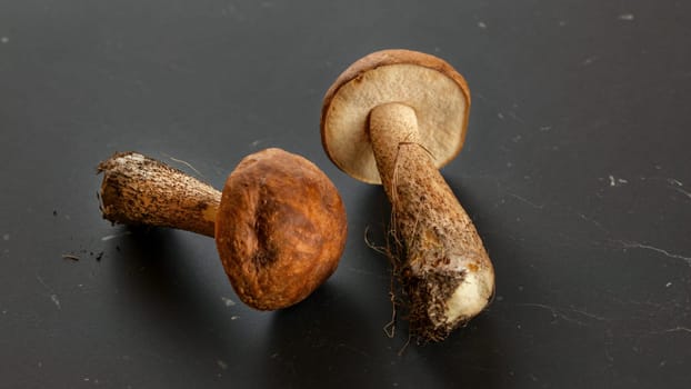Two freshly picked mushrooms (scaber stalk / Leccinum scabrum) soil and dirt from forest still on them, on dark gray,  board.
