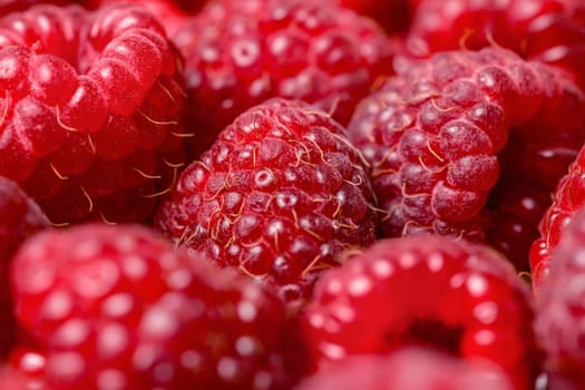 Close up of freshly picked garden raspberries.