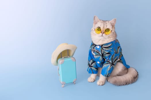 Cute white cat in a blue shirt and yellow glasses, sitting next to a small blue suitcase in a straw hat, on a light blue background, looking at camera. Copy space