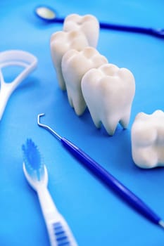 Tooth model and dentist tools on blue background. Dentistry concept.