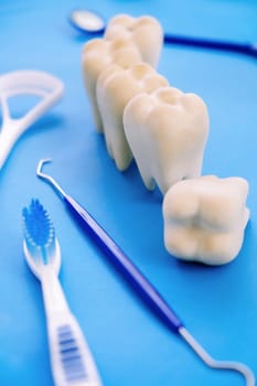 Tooth model and dentist tools on blue background. Dentistry concept.