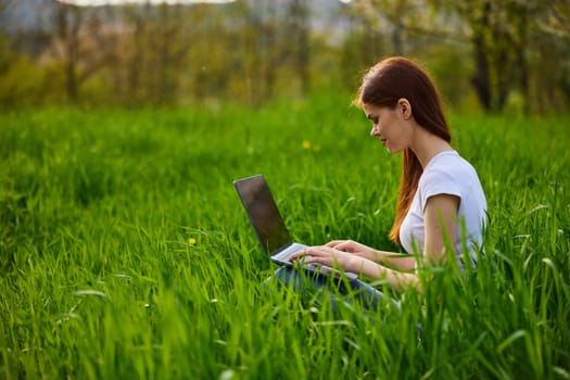 a woman works remotely at a laptop being outdoors in tall grass. High quality photo