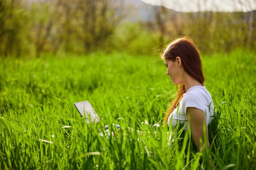 woman on the meadow relaxing and using a laptop. High quality photo