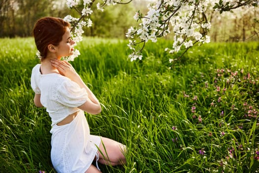 a slender woman in a light dress sits near a flowering apple tree in nature. High quality photo