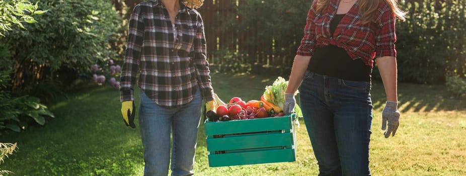 Female farmer working in field. Gardener carrying crate with freshly harvested vegetables in garden.