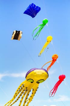 Blue sky with colorful kites in the shape of marine animal