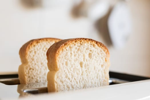 Close-up white slices of sliced bread sticking out in a white toaster, selective soft focus.