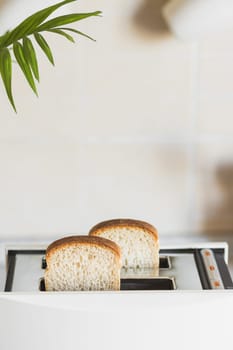 White toaster with white bread in a bright kitchen, high key, vertical copy space.