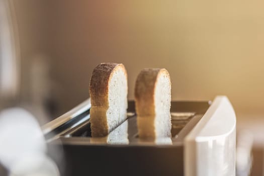 White slices of bread in a toaster in the kitchen at dawn, shallow depth of field, selective soft focus, copy space.