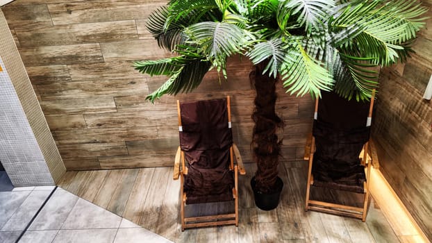 Brown summer sun beds under palm tree in the room, hall, hall, interiors, inside. The design of the room in a natural style