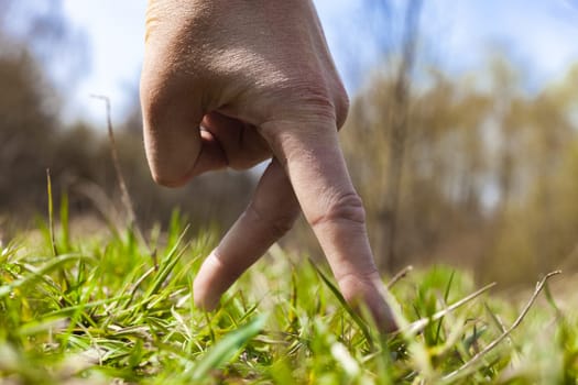 lifestyle walk fingers grass forest two fingers green