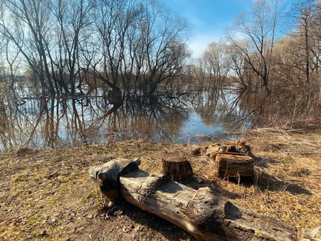 Overflow on the river in spring. Spring scenery