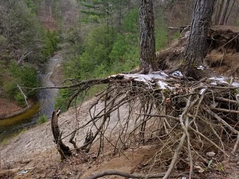 Severe Erosion along steep ravine above a river reveal the root systems of pine trees dusted in snow