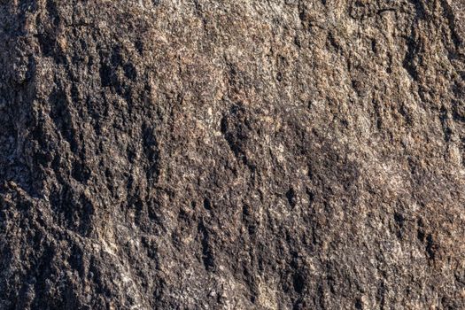 stone surface texture and full frame background under direct sun light.