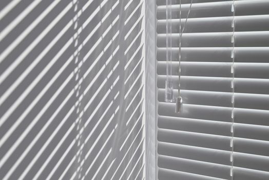 Silhouette of window blinds from sunlight texture background. Abstract blinds background interior image
