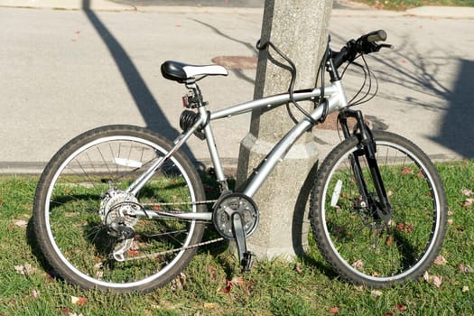 The bicycle stands on green grass, leaning against a pole and locked