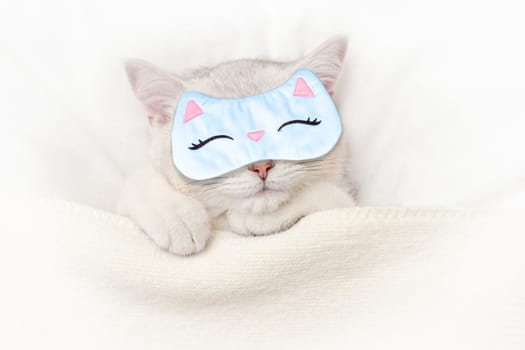 Cute white kitten sleeps in a blue sleep mask on a white bed. View from above. Copy space