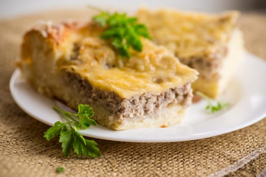 Cooked meat pie, pieces in a plate on a wooden table.