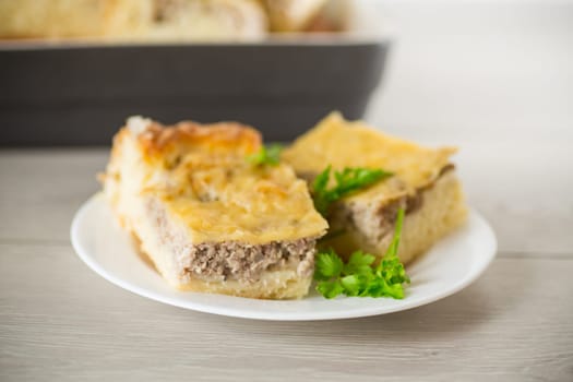 Cooked meat pie, pieces in a plate on a wooden table.