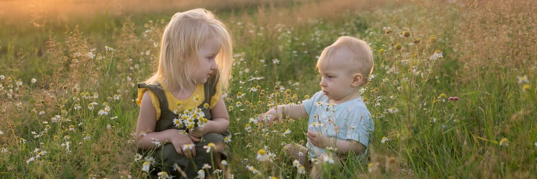 A little boy and a girl are picking flowers in a chamomile field. The concept of walking in nature, freedom and a healthy lifestyle.