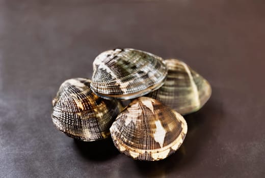  Uncooked fresh clams on black background  ,edible  bivalve mollusc , 
