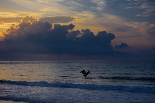 Sea beach with sky sunset or sunrise. Clouds over the sunset sea. Sunset at tropical beach. Nature sunset landscape of beautiful tropical sea.