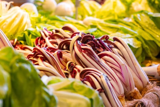 The vibrant and fresh salad available at the farmers market.