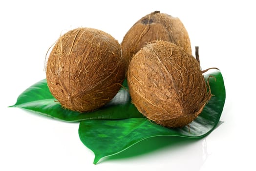Coconuts with leaves, isolated on white background.