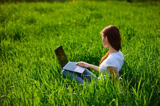 a woman in a light T-shirt works at a laptop while sitting in high green grass. High quality photo