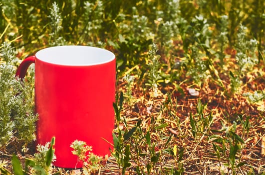 a small bowl shaped container for drinking from, typically having a handle. Red ceramic cup on green grass in the park.