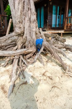 beach erosion on the beach of Koh Lipe Thailand. Coastal erosion in Thailand