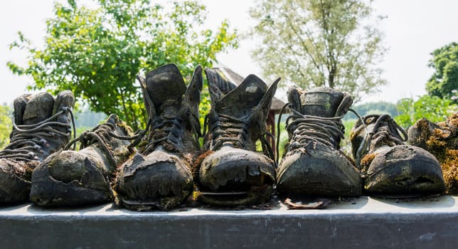 row of old leather worn out shoes in garden