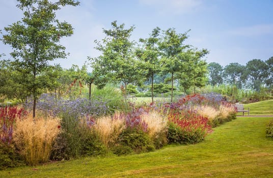 big english landscape garden with plants trees and flowers in summer