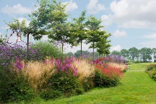 big english landscape garden with plants trees and flowers in summer