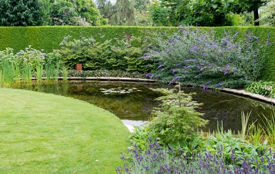 english garden with green grass near a small water and plants flowers like buddleja