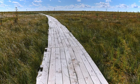 This wooden deck is an ecological trail for tourists that leads through a natural riding swamp. It offers beautiful views of the amazing nature of the swamps in Eastern Europe