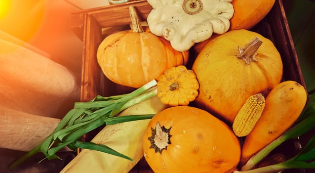 Autumn harvest, pumpkins, zucchini and green onions. Vegetables are in a wooden box.