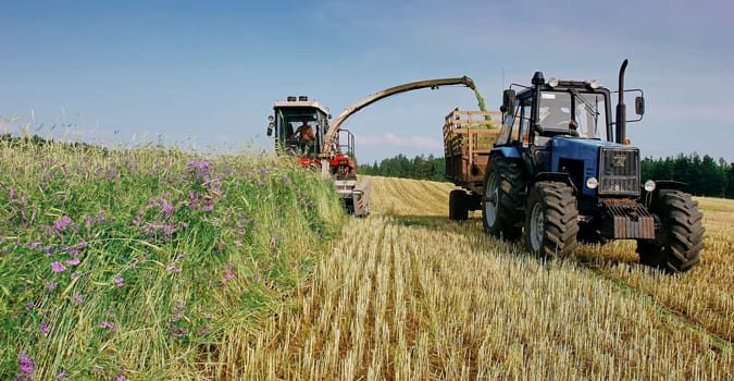 A farmer is mowing a mower in a field on a beautiful sunny summer day. Preparation of fodder for cattle.