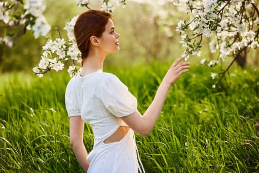 sweet, beautiful woman in a light short dress touches the branches of a flowering tree. High quality photo